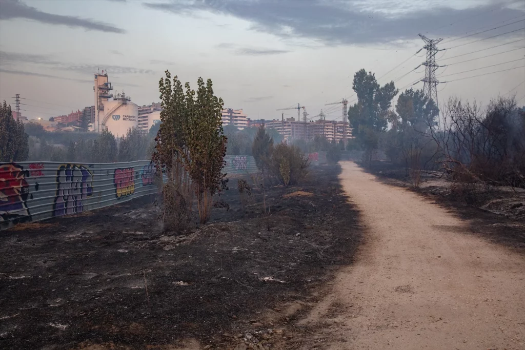 El Ayuntamiento de Alcobendas niega que el incendio de Tres Cantos obligase a evacuar casas en La Moraleja 1 EuropaPress 6899026 campo quemado incendio 12 agosto 2025 tres cantos madrid espana incendio