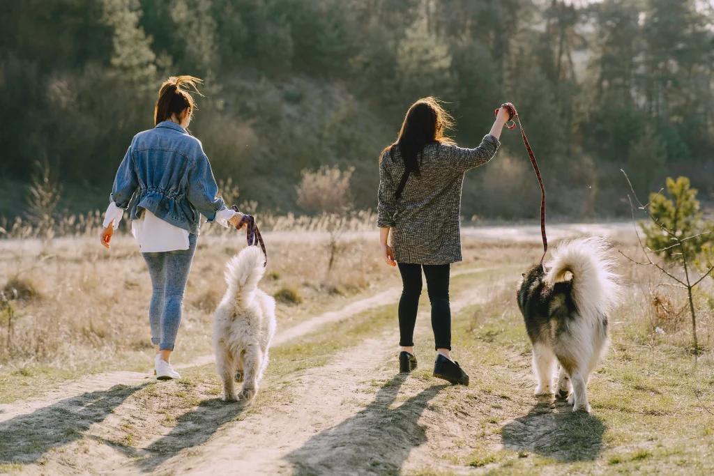 Paseadoras de perros. Fuente: Freepik