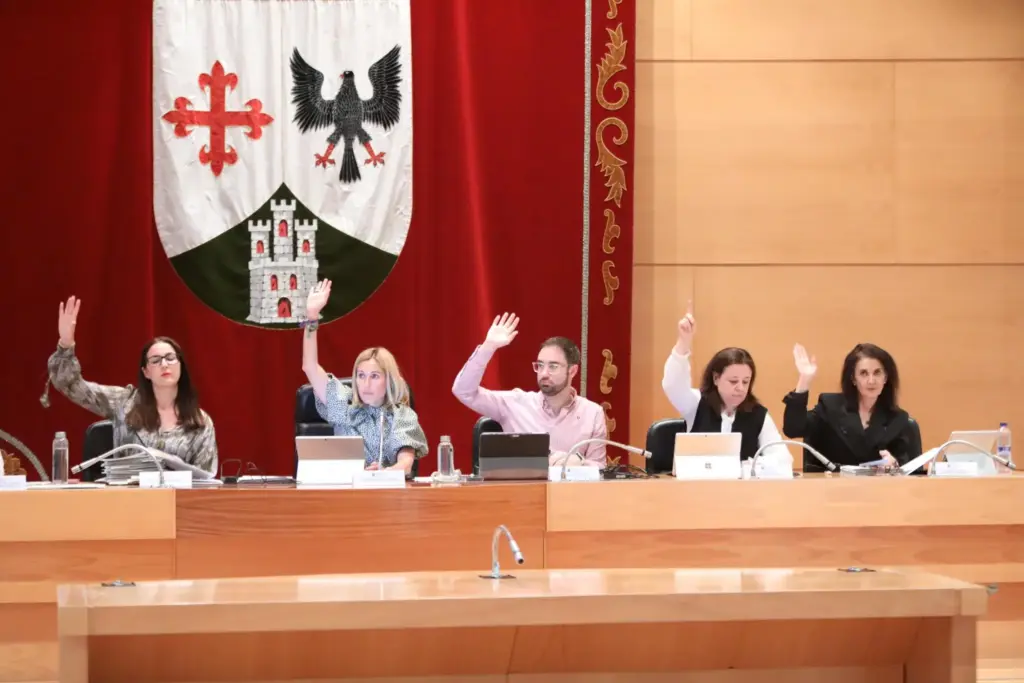 pleno alcobendas