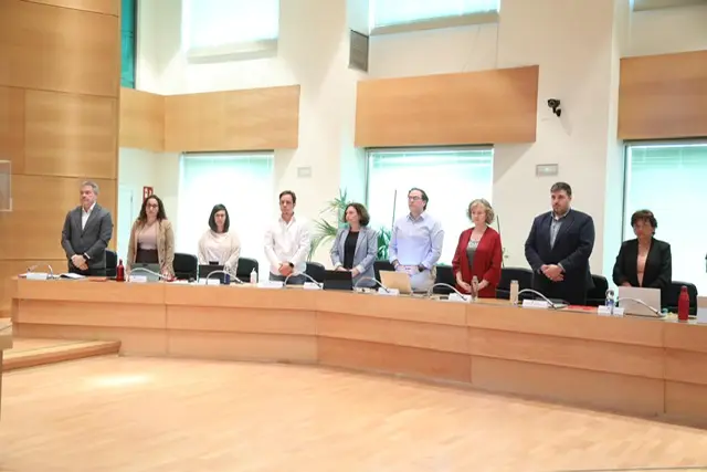 pseo alcobendas