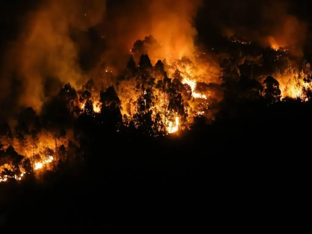 Los vecinos de La Moraleja están obligados a cumplir con las órdenes del plan antiincendios de la Comunidad de Madrid 1 Un incendio forestal
