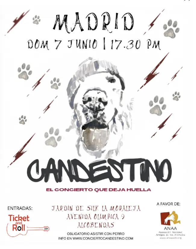 Alcobendas acoge una nueva cita de CANDESTINO, el concierto donde los protagonistas son los perros 1 candestino concierto