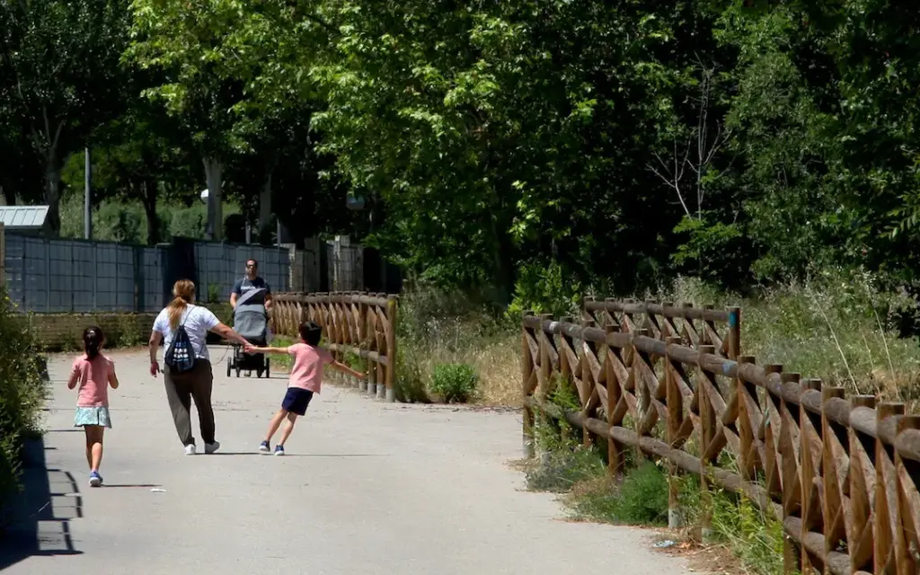 Los vecinos de El Juncal denuncian el abandono del arroyo y exigen una limpieza integral: “Hay carros de supermercado, árboles caídos" 2 juncal alcobendas 1
