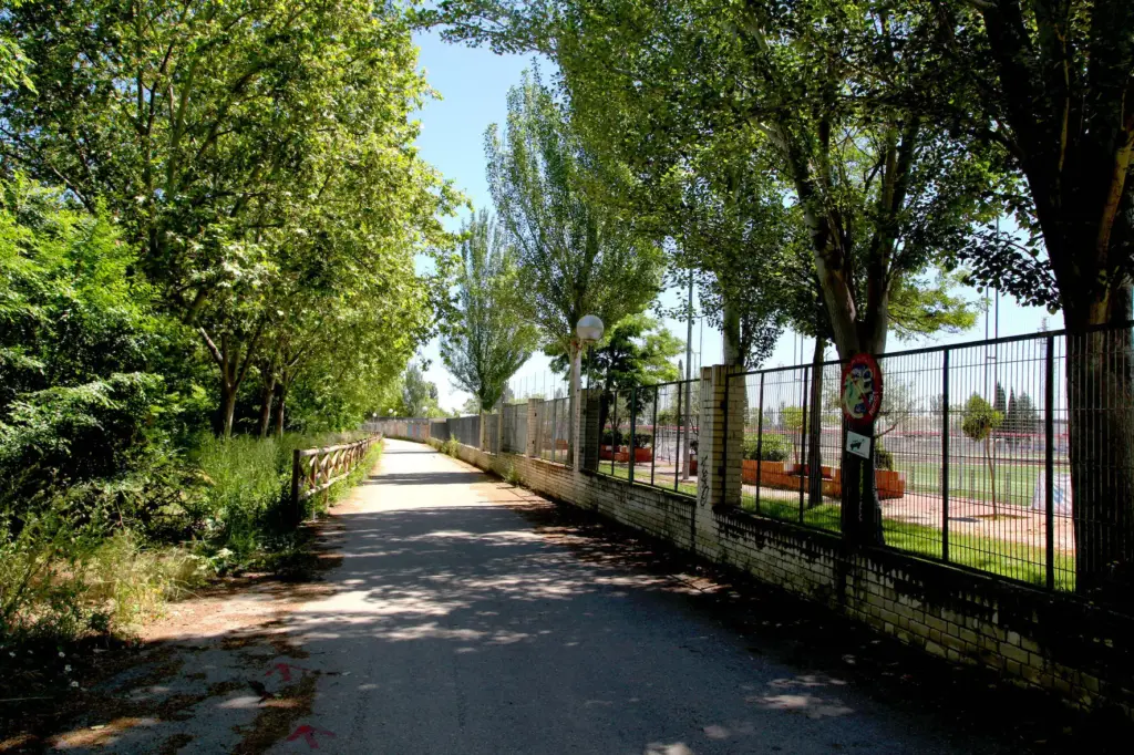 Los vecinos de El Juncal denuncian el abandono del arroyo y exigen una limpieza integral: “Hay carros de supermercado, árboles caídos" 1 juncal alcobendas