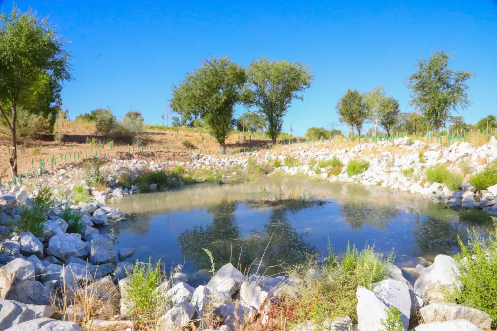 El nuevo parque de Alcobendas que esconde una sorpresa para los niños y unas vistas de 90 kilómetros 1 Microcharca.jpg