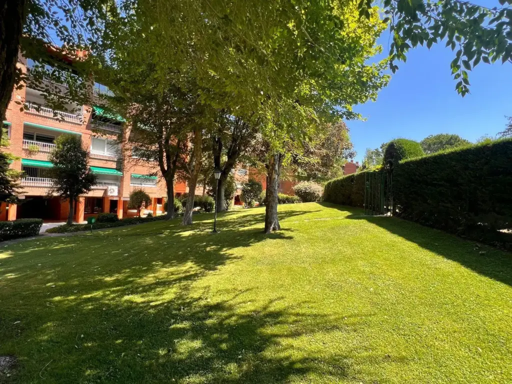 Los rivales de La Moraleja en Madrid y Barcelona para ser el barrio más rico de España 1 Setos en la urbanización El Soto de La Moraleja, Alcobendas. Fuente: Entidad de Conservación El Soto